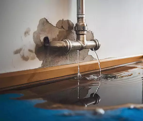 Professional Water Damage Restoration Experts in Delray Beach, FL — Fast, Reliable & Certified
