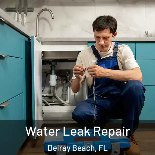  Water Leak Repair Delray Beach, FL